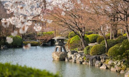 Japanese Gardens: How to enjoy them